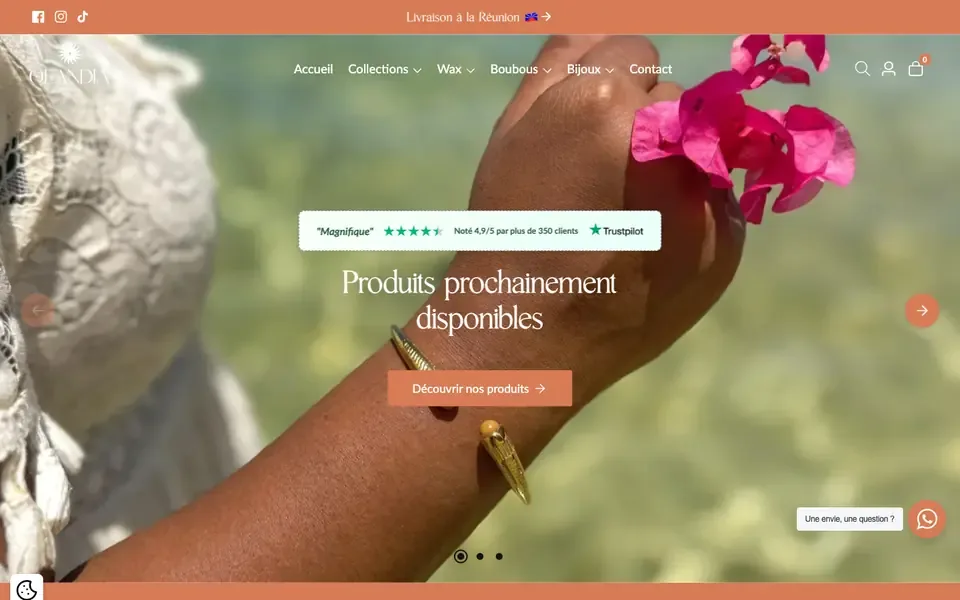 Accueil de olandia-creation.re sur ordinateur
