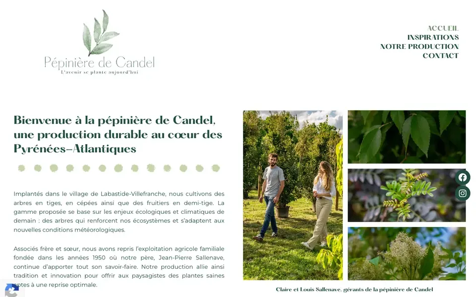 Accueil de pepinieredecandel.com sur ordinateur